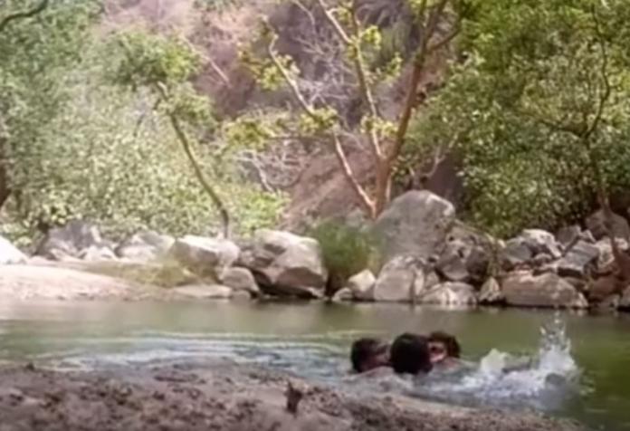 ▲印度 3 名男子一同前往溪邊戲水，並架設攝影機自拍留念，卻意外錄下自己溺斃過程。（圖／翻攝自 YouTube ）
