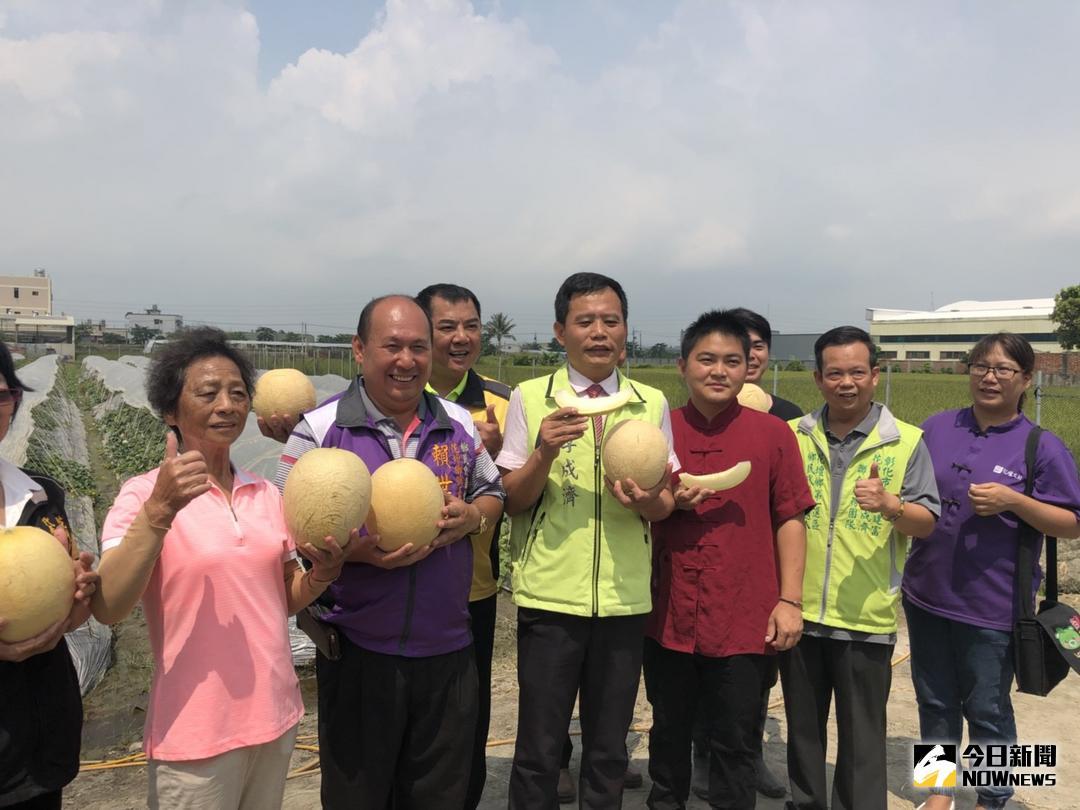 ▲青年農民周家鵬、周家慶兄弟檔，在花壇鄉採用隧道溫室栽種哈密瓜，香甜多汁的果肉讓人禁不起誘惑，鄉長李成濟說是果中驚喜。（圖／記者陳雅芳攝，2018.05.31）