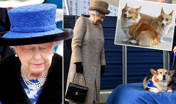 英女王鍾愛柯基犬人人皆知，自從今年4月王室最後一隻柯基犬Willow因癌逝世後，女皇身旁就沒有狗狗蹤影，網民看到狗狗Guy與英女皇同車時，更笑稱Guy是女王的新歡，看來絕對是王室新寵兒。