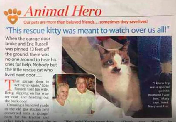 而這一切都要歸功於機警的艾維，幸好有牠敏銳的聽力及早發現異狀，艾瑞克才能保住他的手！