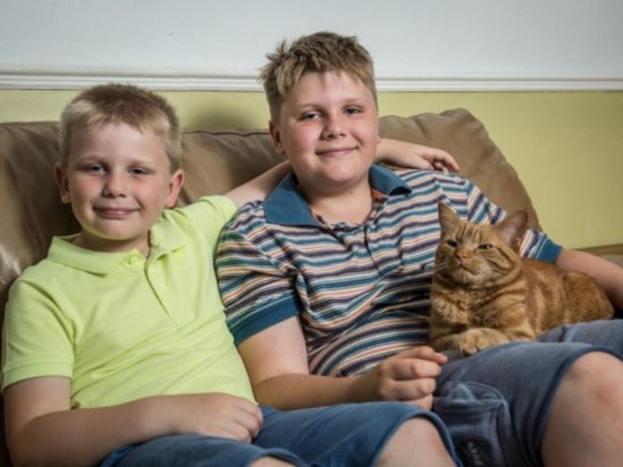 英國橘貓撫慰失去爸爸的二兄弟　角逐年度貓咪獎
