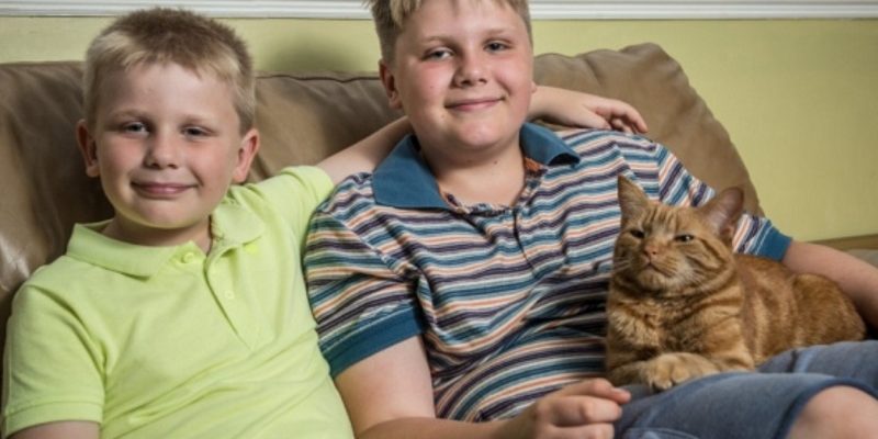 英國橘貓撫慰失去爸爸的二兄弟　角逐年度貓咪獎
