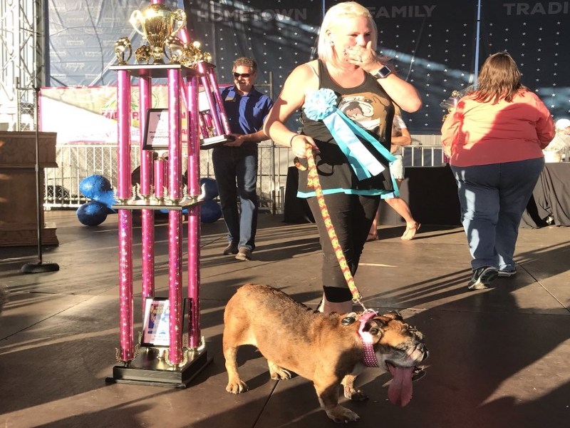 醜醜惹人愛　世界最「醜狗」就是牠！（圖／寵毛網）