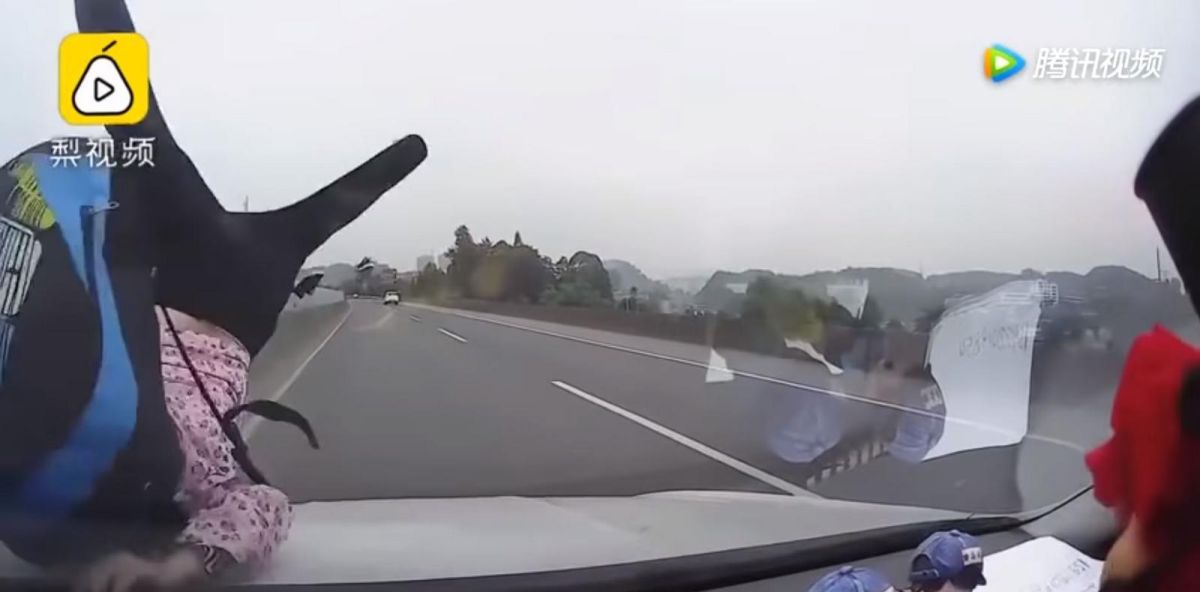 ▲老婦穿越高速公路，被汽車撞個正著。（圖／翻攝自《梨視頻》）