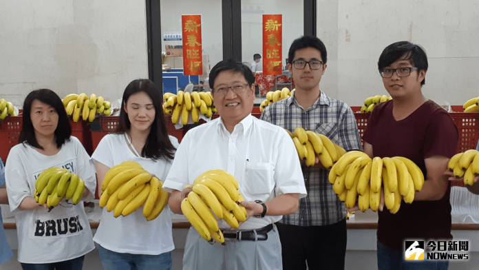 影／香蕉盛產價格低迷　竹縣楊文科助農購入千公斤
