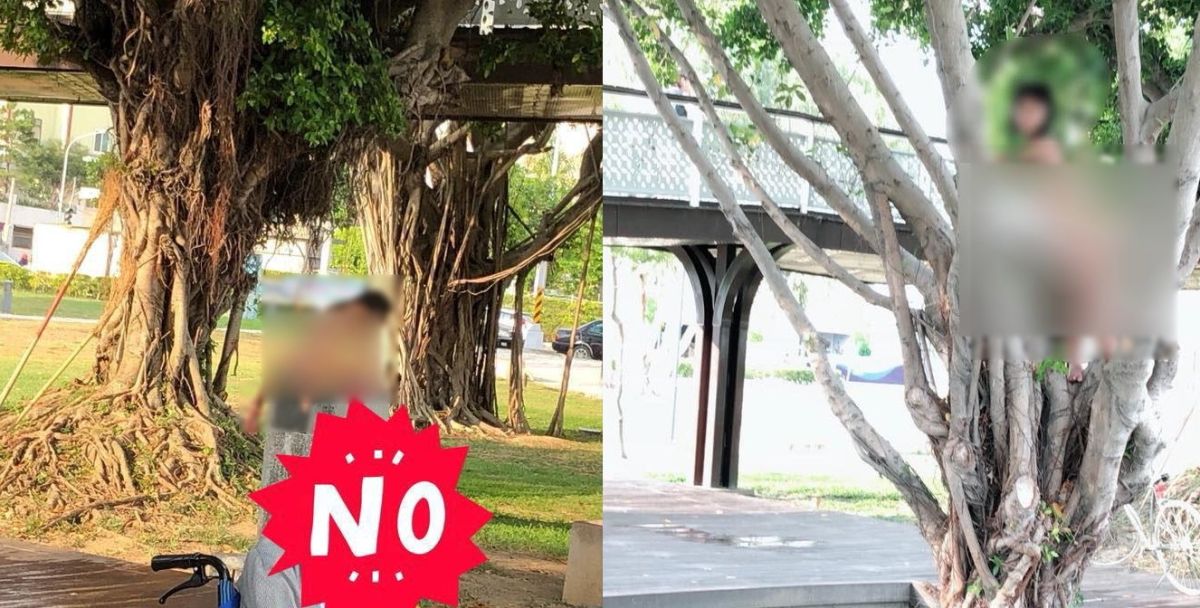 ▲網友到公園散步時，發現一名女孩全身赤裸地在玩耍。（圖／翻攝自爆料公社官網 , 2018.06.07）