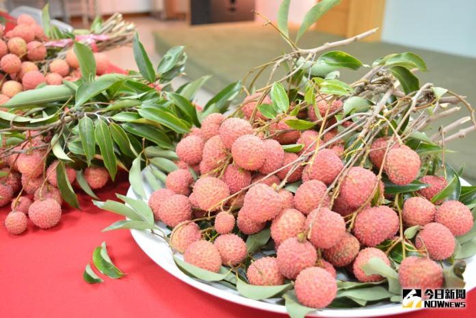 ▲感冒能吃荔枝嗎？一名媽媽在Threads分享「止咳荔枝」被罵翻，《醫療靈媒的在地療癒生活指南》作者出面力挺。（圖／NOWNEWS資料照）