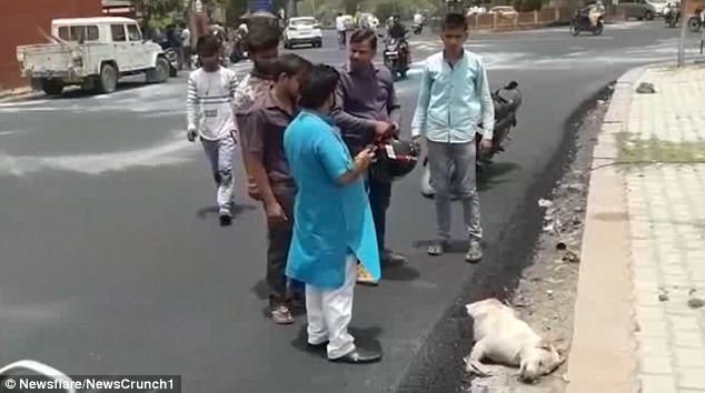 ▲印度工人直接用高溫瀝青淋在狗狗身上，還開壓路機壓過，無辜狗狗慘死在路邊。（圖／翻攝自《每日郵報》）