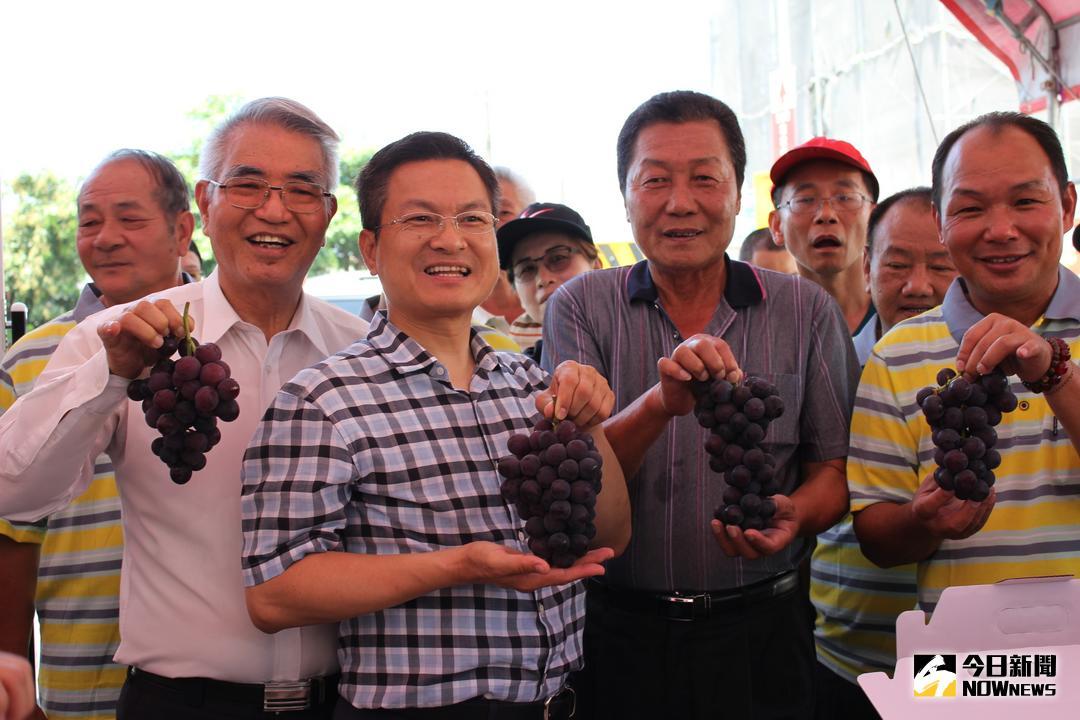 ▲「五五端陽大村遊 盛夏粽情樂萄萄」活動，16日與17日兩天在大村後火車站舉行。（圖／記者唐詠絮攝，2018.06.16）