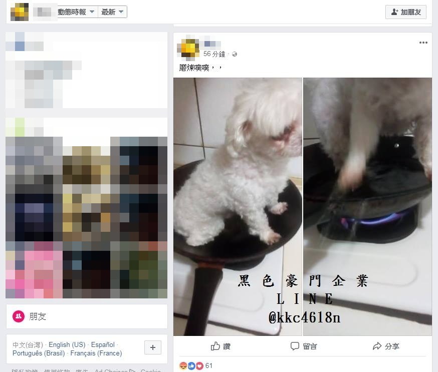 ▲魏姓男子在臉書 po 出將小狗放在平底鍋上並點火的照片，引發網友撻伐。（圖／翻攝自臉書「黑色豪門企業」 , 2018.06.16）