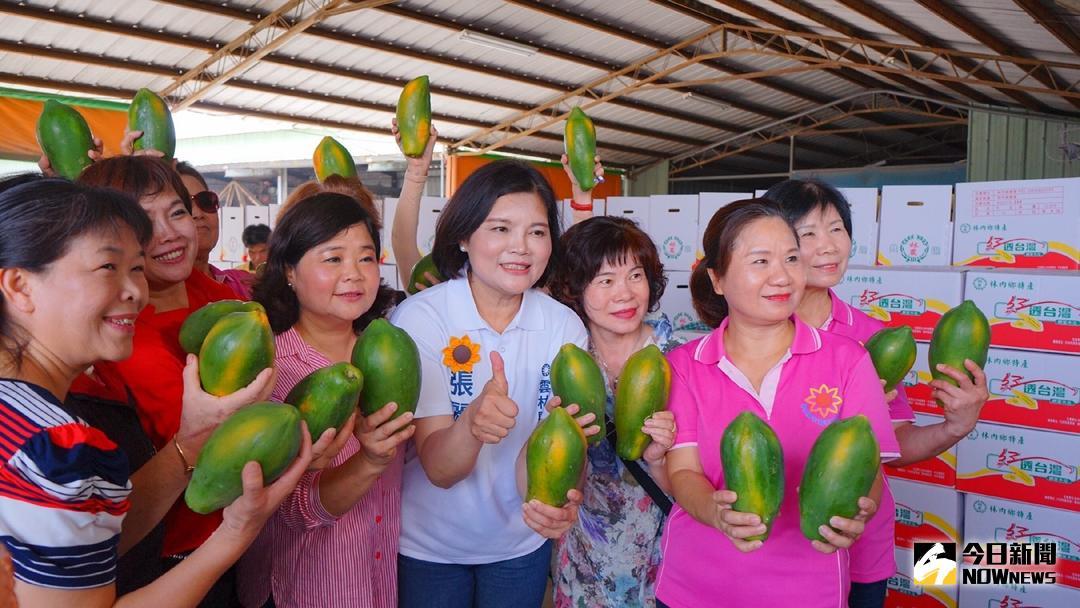 ▲雲林縣長參選人張麗善照顧瓜農將集資認購的木瓜，捐贈給華山基金會及社福團體。（圖／記者洪佳伶攝 , 2018.06.25\\)