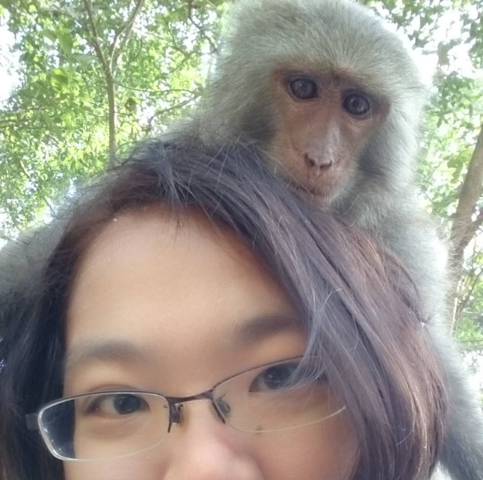 ▲台灣獼猴由保育類野生動物調降為一般類，被稱為「獼猴女博士」的林美吟感嘆「對於獼猴而言，也許最黑暗的時代就要來臨了」。（圖／翻攝自「林美美」臉書 , 2018.06.26）
