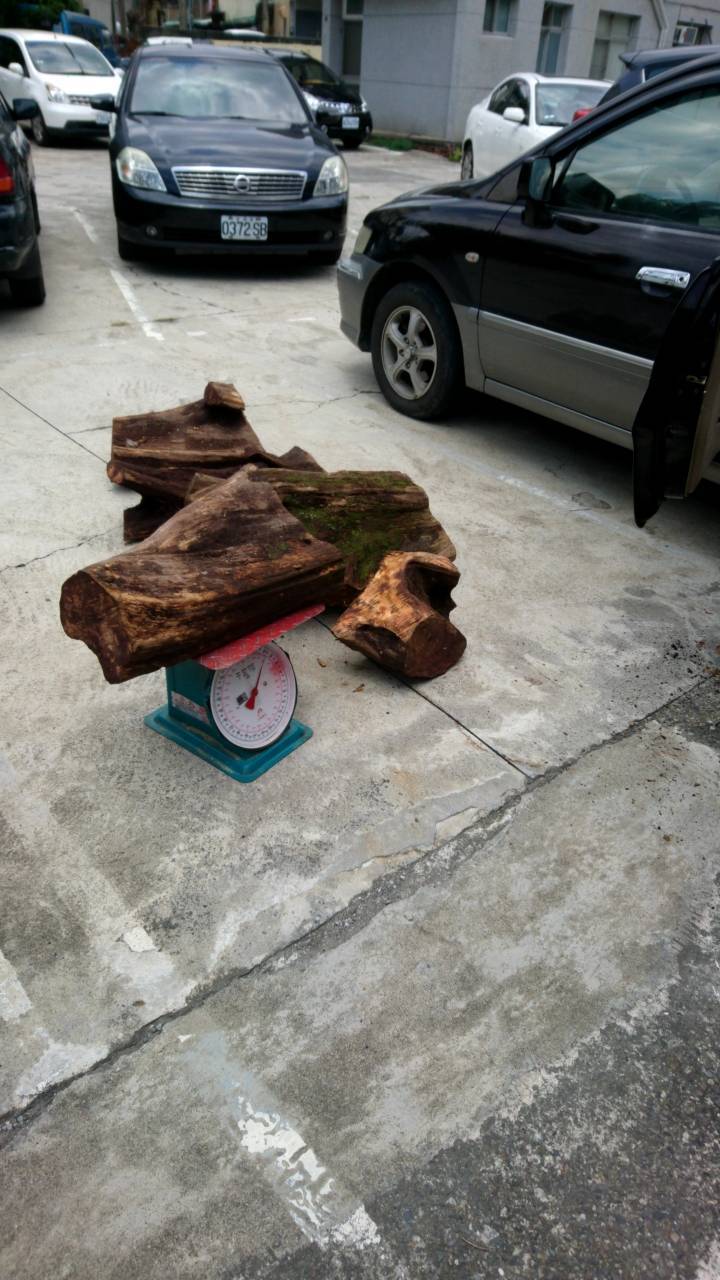 ▲嘉義縣警察局查獲以毒控制毒蟲為其盜伐林木得暴利。（圖／嘉義縣警察局提供 , 2018.06.28 ）