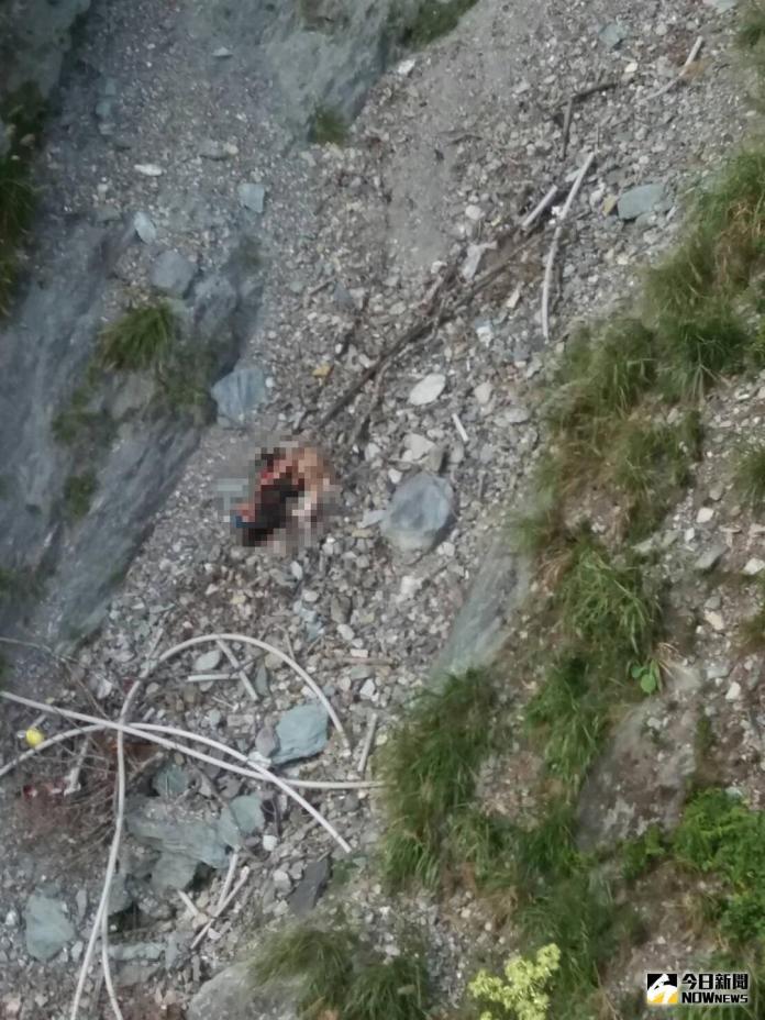 ▲巨陞董事長陳宏育夫婦被發現墜落在近200公尺的山谷下，兩人呈現交疊狀，相當罕見。（圖／花蓮縣消防局提供）
