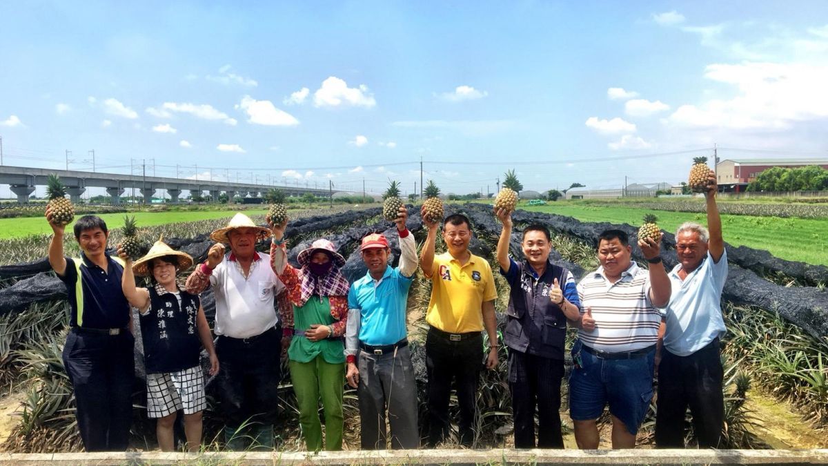 ▲嘉義縣議員陳文忠再請貿易商友人，為鳯梨農解決產銷問題。（圖／陳文忠議員服務處提供 , 2018.06.30 ）