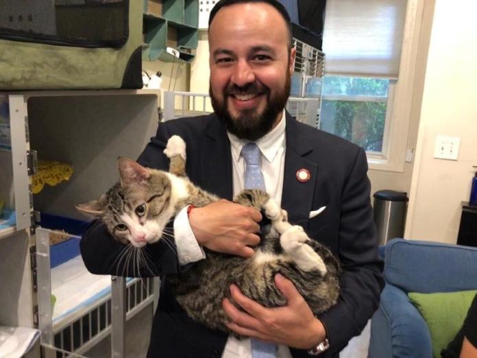 紐約州眾議員高速公路營救貓咪　善行被讚爆！（圖／寵毛網）