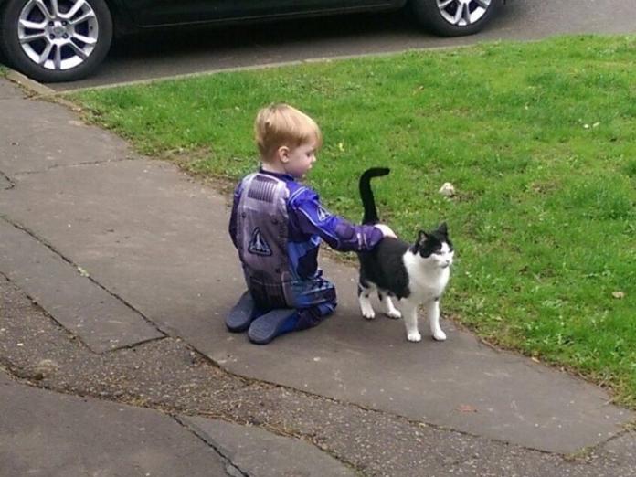 小男孩愛上鄰居貓咪　耐心花一年時間成功摸到牠！（圖／寵毛網）