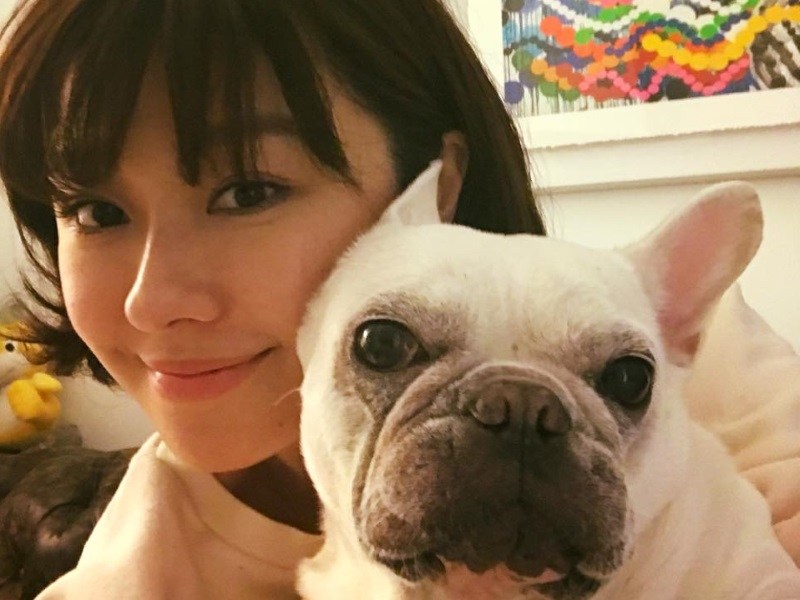 名人愛寵毛／福福滿滿　李維維與愛犬們的幸福生活（圖／寵毛網）