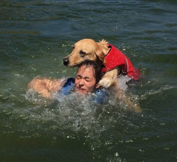 荷莉一家人帶著愛犬山姆去戲水，沒想到可能是當天第一次下水有些緊張，山姆竟整隻狗壓到妹妹亞莉安納身上！