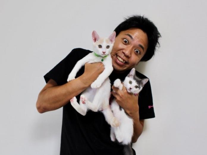日本諧星領養貓咪被讚爆　中途：只要有心單身者也可領養！（圖／寵毛網）