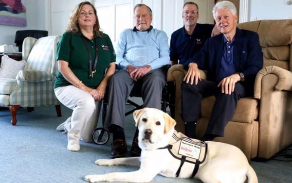 這次的媒合是由沃爾特·里德陸軍醫療中心向布希家族推薦Americas Vet Dogs，他們挑中薩利來為這位前總統效勞，而他們的家族好友同時也是前總統的柯林頓甚至幫忙護送薩利到老布希家！