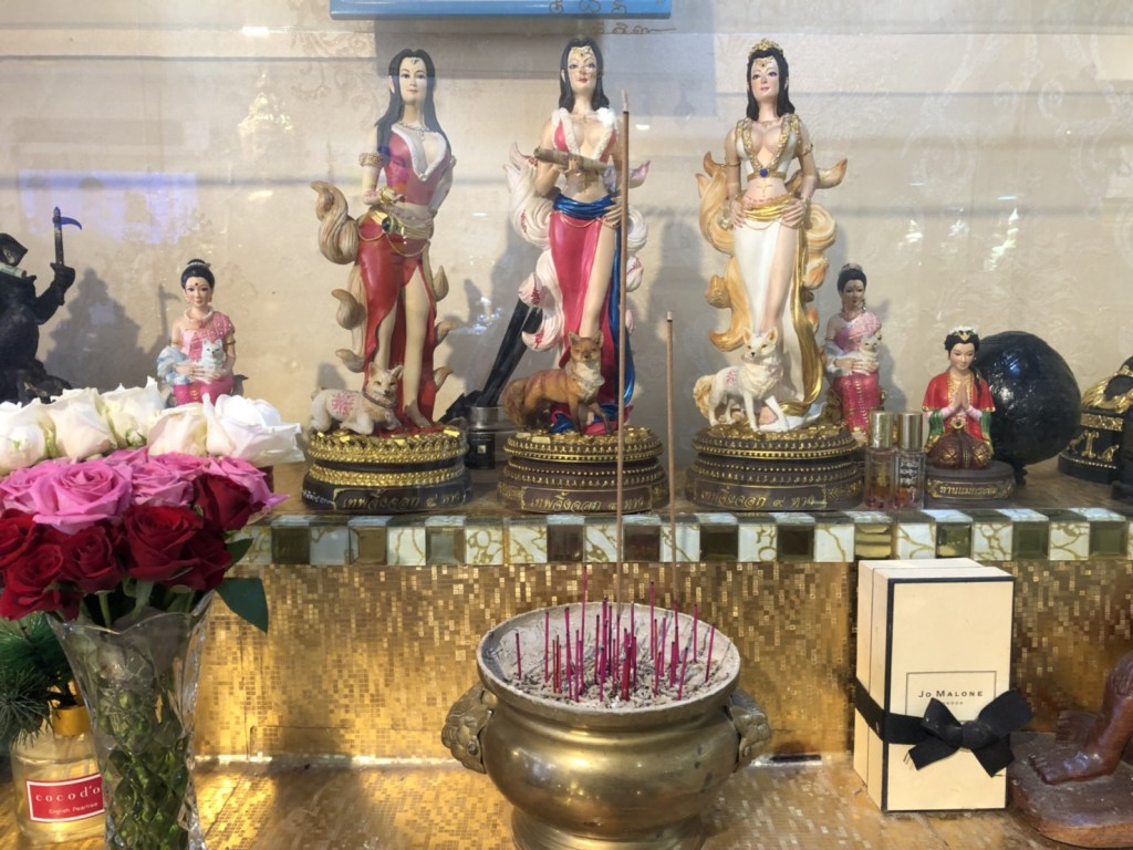 狐仙沒那麼可怕！擺脫邊緣人命運就靠祂（圖／保庇）