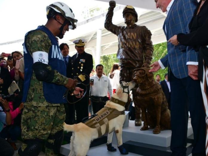 搜救犬在墨西哥強震救出12人　當地為牠造紀念銅像！（圖／寵毛網）