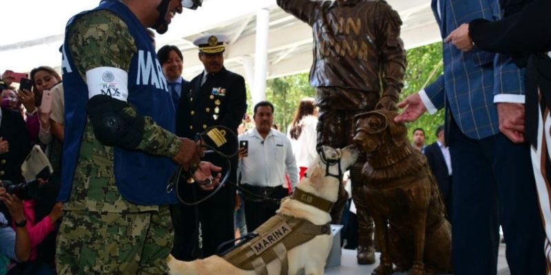 搜救犬在墨西哥強震救出12人　當地為牠造紀念銅像！　
