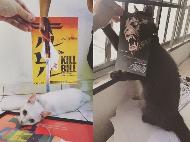 貓咪亂入電影海報　超偷懶合成令人會心一笑（圖／寵毛網）