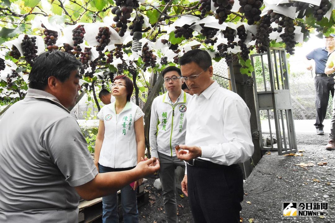 ▲大雨造成農作物損害，彰化縣長魏明谷前往大村現勘協助農民，並聽取農民朋友意見。（圖／記者陳雅芳攝，2018.07.03\\)