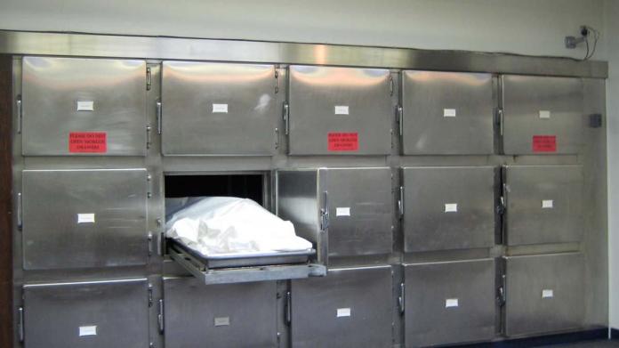 工人意外身亡躺冰櫃屍臭味瀰漫　奉上這3寶空氣頓時清新
