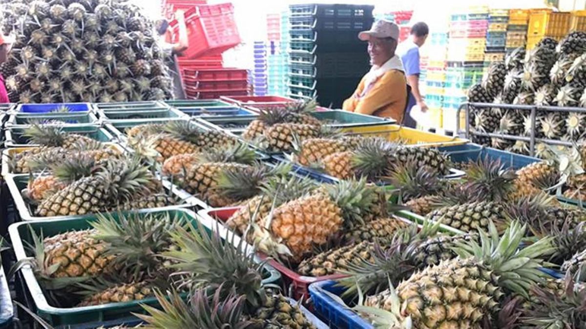 ▲近日農委會駁斥「鳳梨低價」是假新聞，對此，農業專家「 Lin bay 好油」在臉書發文表示「農民提出的交易資料就是鐵證， 6 月 27 日 50 箱鳳梨只賣了 3286 元」，許多網友看後都不禁怒言「只有官員說的幹話是真的」。（圖／翻攝永興果菜生產合作社臉書）