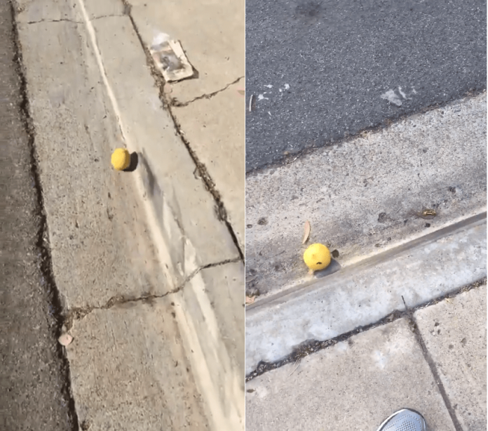 ▲美國聖地牙哥一名攝影師日前 po 出一段檸檬在路上滾的影片，吸引 6 百多萬觀看次數。（影片截圖／翻攝自推特 , 2018.07.13）