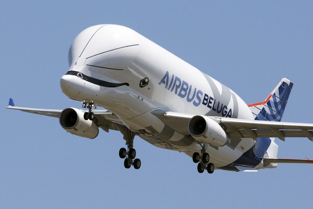 ▲歐洲空中巴士公司日前推出最新型的「超級大白鯨」（Beluga XL，Airbus A330-700L）運輸機，模樣十分可愛。（圖／達志影像／美聯社 , 2018.7.20）