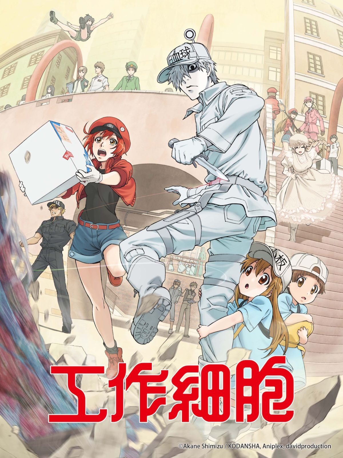 ▲《工作細胞》描述以輸送氧氣的紅血球觀點視角，富有教育意義。（圖／KKTV提供 , 2018.07.23）