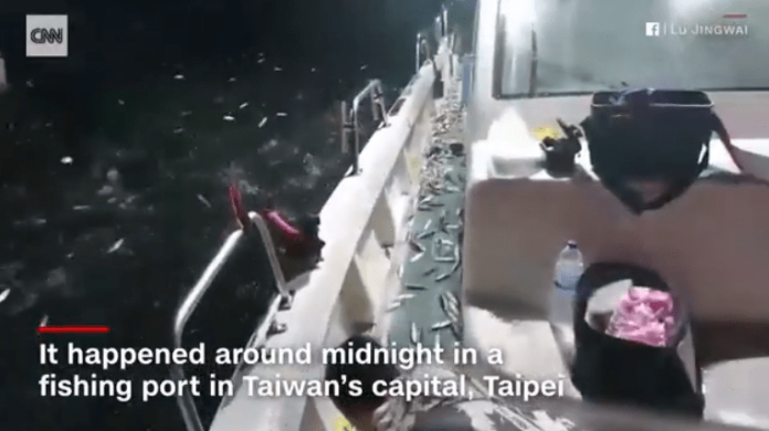 ▲基隆一名 31 歲的漁夫於捕魚時遇到整群的沙丁魚不停跳出水面，立刻捕捉下這幅驚人的景象，一舉躍上 CNN 國際版面。（圖／翻攝自 CNN ）