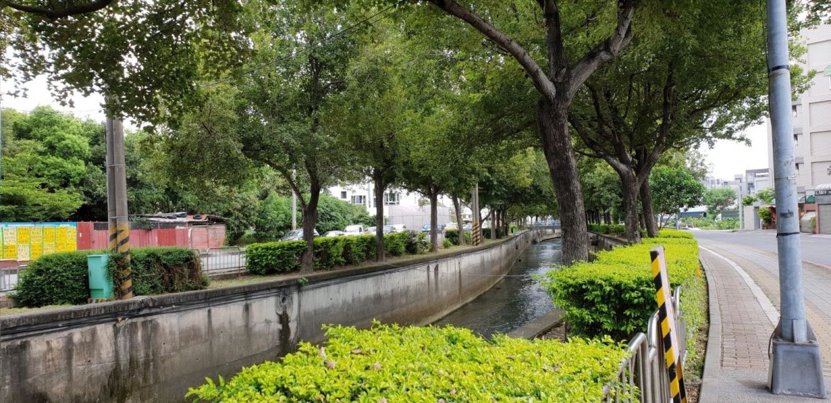 ▲楓樹社區南屯溪兩側整排楓樹林。（圖／柳榮俊翻攝 , 2018.7.26\\)