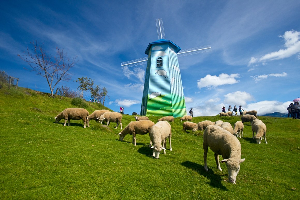 ▲女網友和父母到清境遊玩，買票時才發現暑假同假日收費，讓她感覺被坑了。但網友指出，不少觀光景點都是「寒暑假等同假日」，認為是原 po 沒做好功課造成的誤會。（圖／翻攝自清境農場官網 , 2018.07.27）
