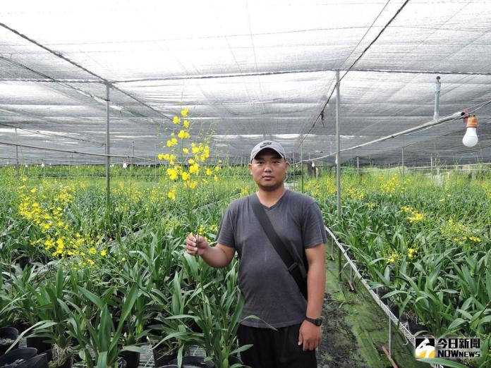 迎接花博　花農陳帝緯推廣在地花卉之美
