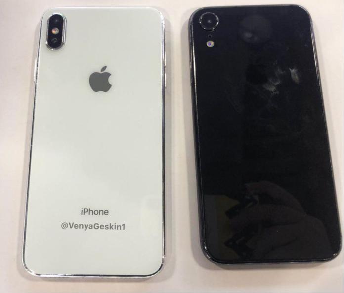 ▲6.5 吋、6.1 吋新 iPhone 實機照曝光， OLED 版本（左）採雙鏡頭相機，LCD 版本（右）為單鏡頭設計。（圖／翻攝Twitter）