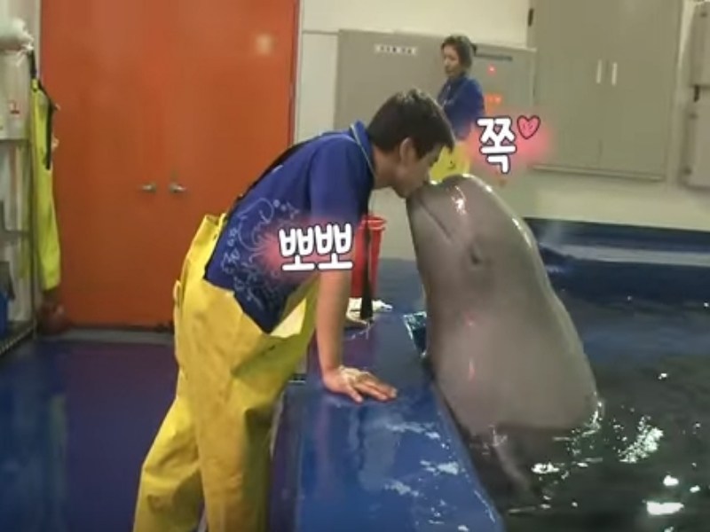 小白鯨超愛專屬歐巴　有女人靠近就吐口水（圖／寵毛網）