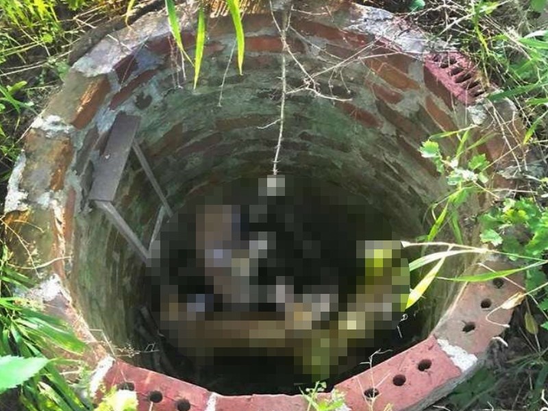 「七夜怪談」般古井現淒厲叫聲　竟是可愛小鹿在求救（圖／寵毛網）