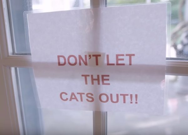 突然一個轉頭，看到門上竟然貼了完全不符合設計品味的警告紙條：「別讓貓咪跑出去！」
