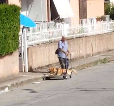 薩賓娜拍下一位老先生用手推車載著一隻老狗狗散步的情形。（圖／facebook＠Sabrina la Grotteria）