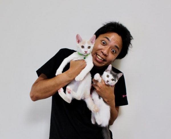 最後他順利領養到了二隻可愛的小貓咪，為牠們取名為風神（右）與雷神（左）！（圖／twitter@ikezaki_YEAH）