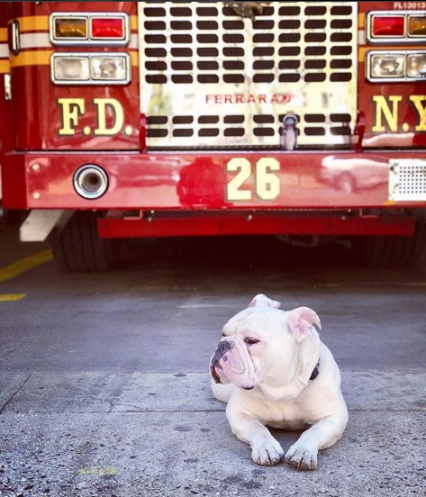 Riggs的名字由來，是消防隊員對消防車的暱稱。