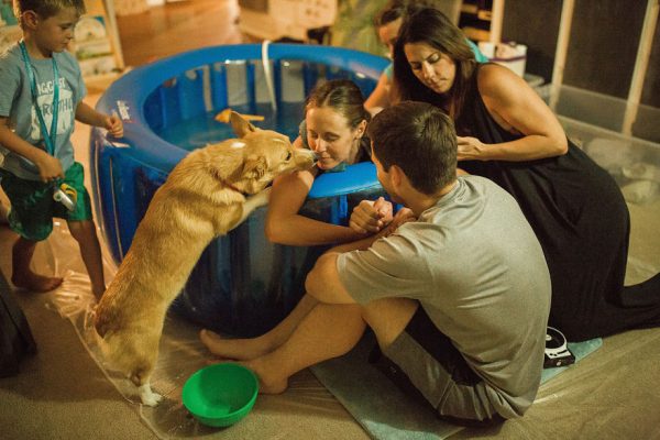 全家人都守護在Brooke身旁時，愛撒嬌的Ranger又去獻上支持的吻，似乎預告著寶寶很快就要誕生了！