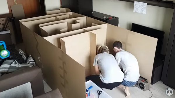 夫妻倆花費了32小時打造Pusic的專屬迷宮。