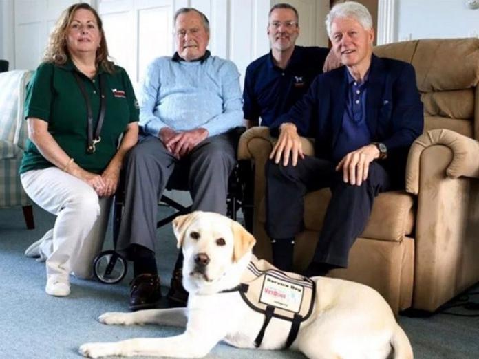 美國前總統老布希發推喜迎新家人　原來是隻服務犬！
