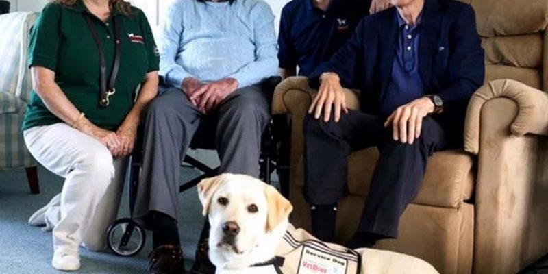 美國前總統老布希發推喜迎新家人　原來是隻服務犬！
